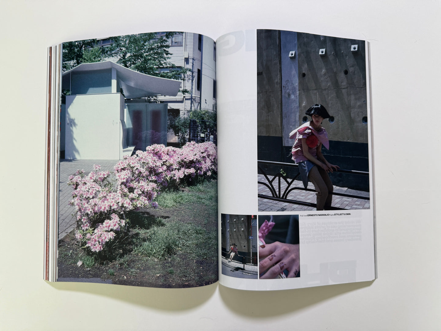 ISSUE 5, AW25 COVER 2
